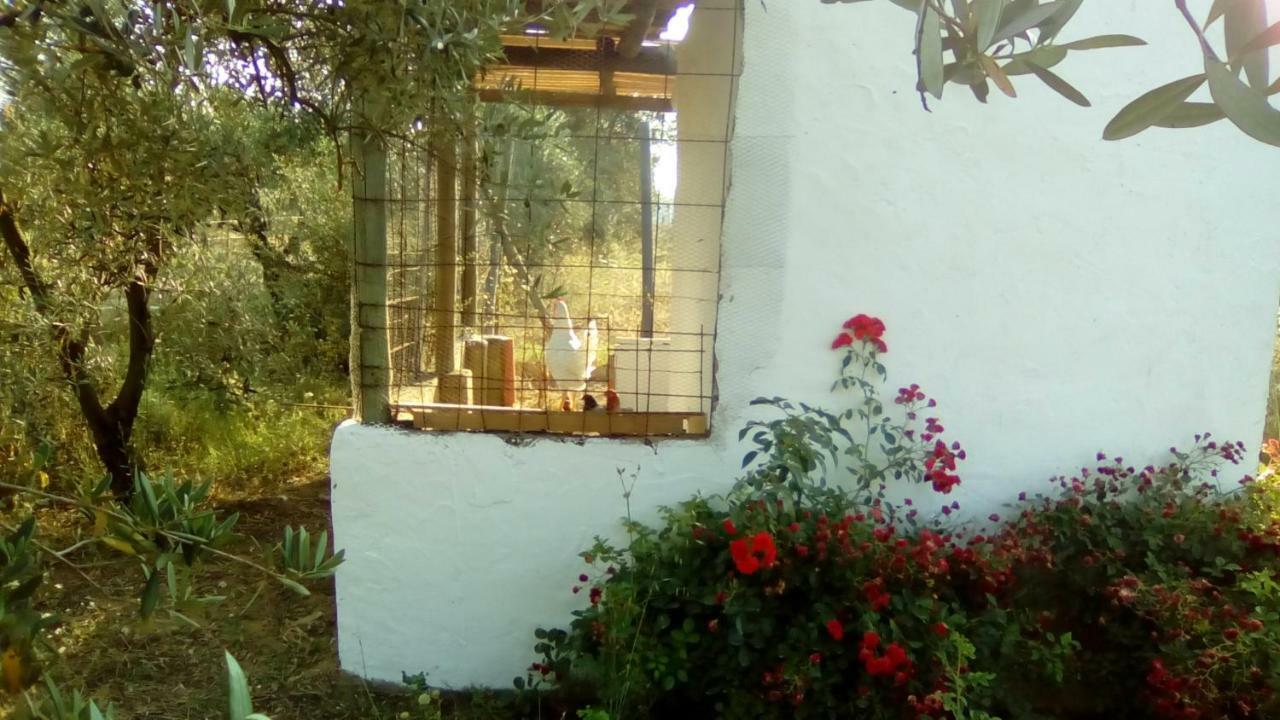 Finca Casa Halcon Almonte Exterior foto