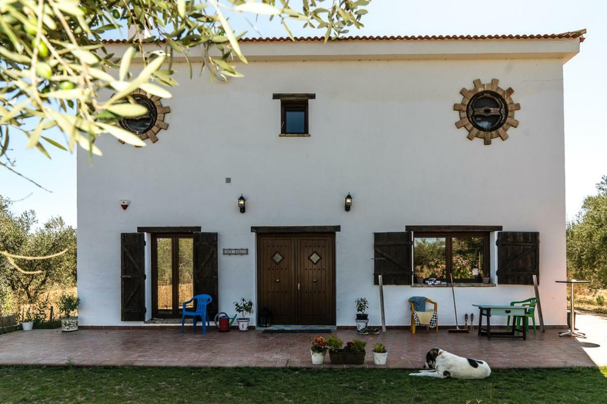 Finca Casa Halcon Almonte Exterior foto